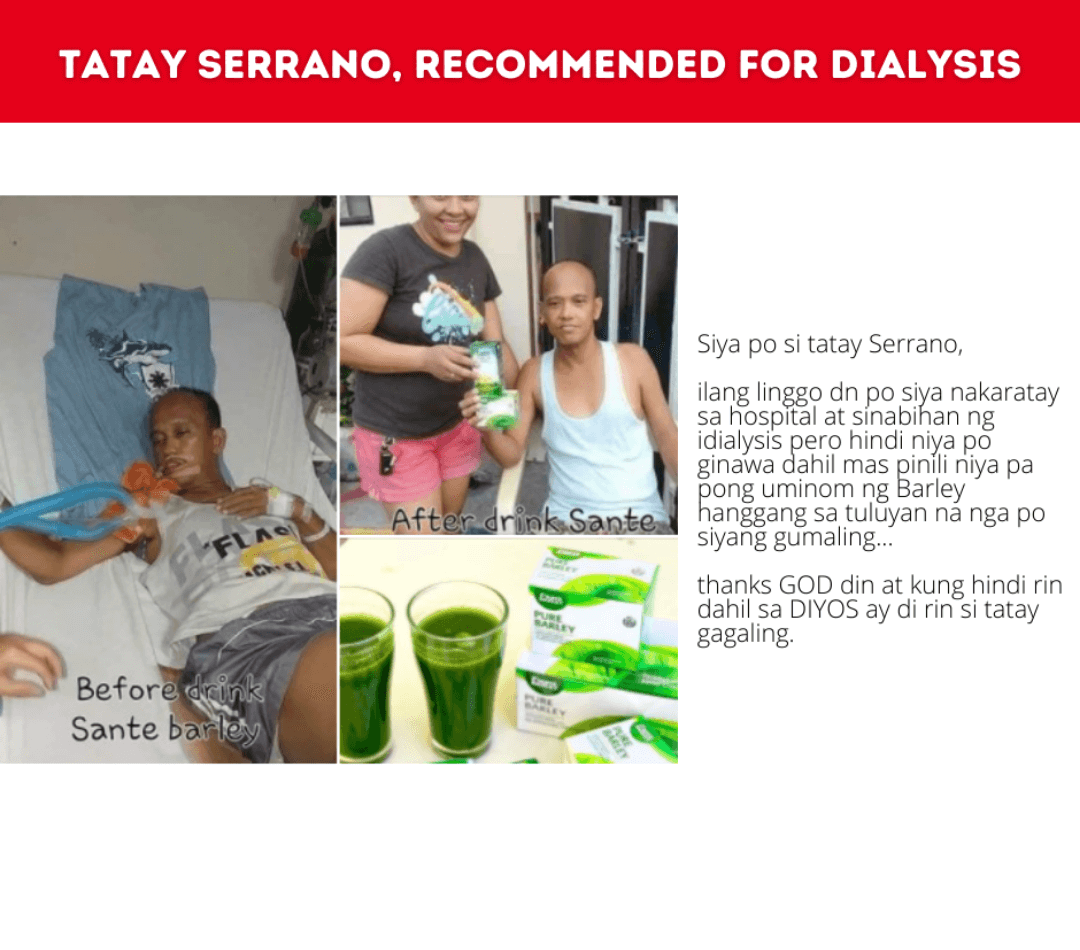 Barley Juice Diabetes