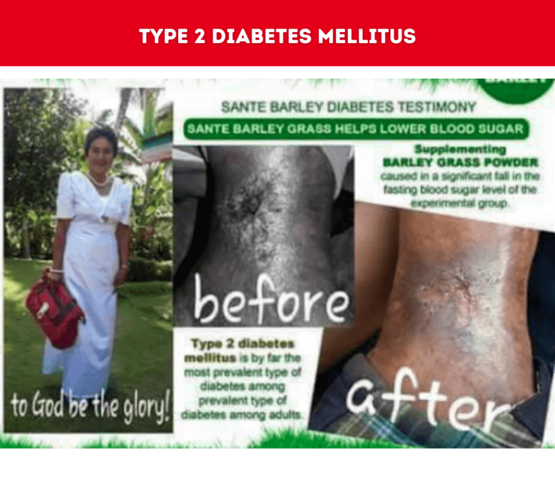 Barley Juice Diabetes